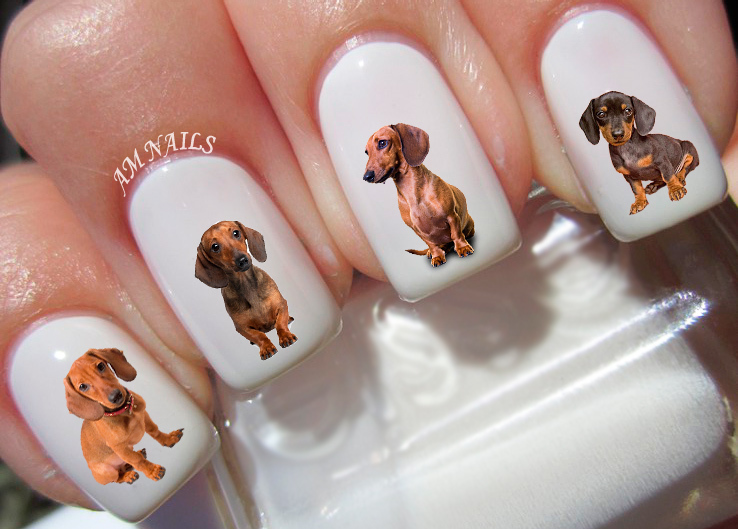 Dachshund Nail Art Stickers Transfers Decals Set of 47 – A1298
