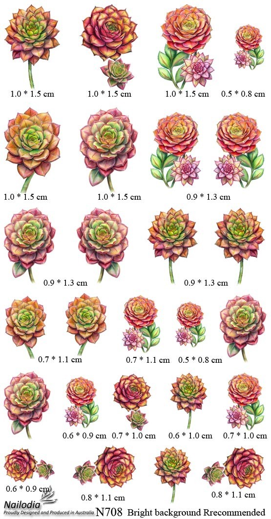 Aeonium Irish Rose Floral Flower Nail Art Decal Sticker Water Transfer Slider