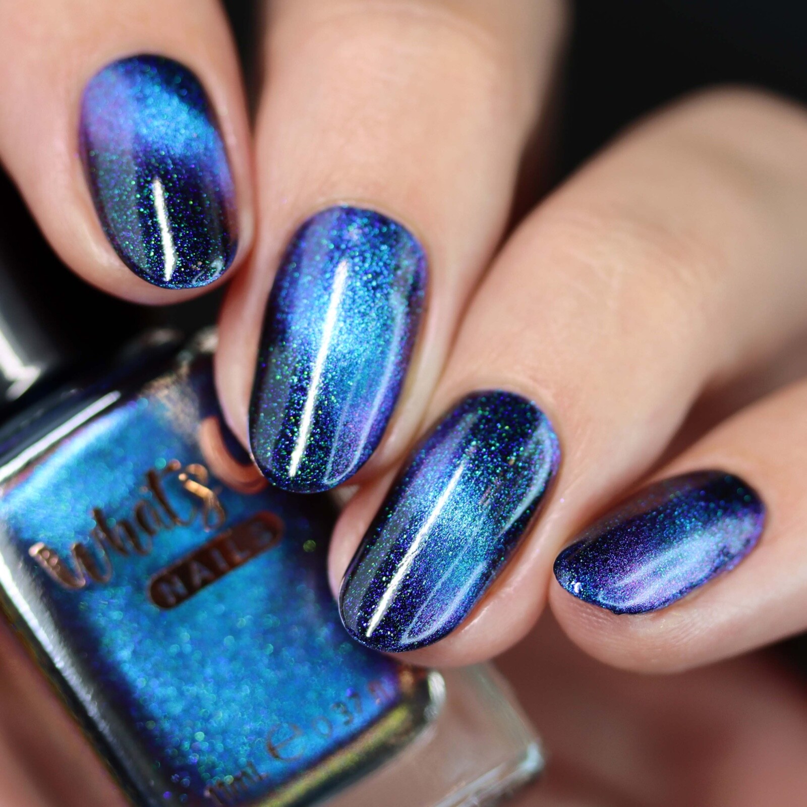 Gust of Wind Collection (6 Regular Polishes + Magnet), Nail Polish for Nail Art