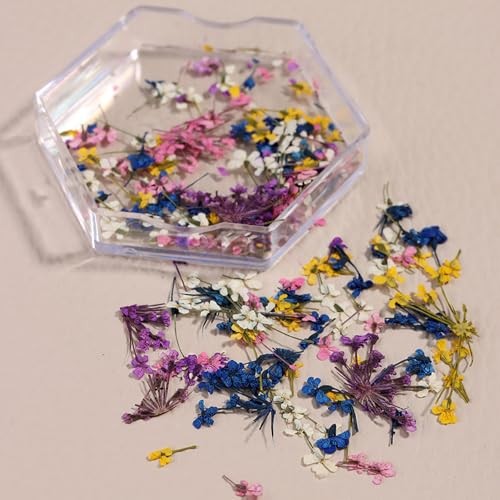 4 Boxes 3D Nail Art Stickers Natural Dry Flowers Nail Stickers Dried Flowers