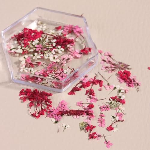 4 Boxes 3D Nail Art Stickers Natural Dry Flowers Nail Stickers Dried Flowers