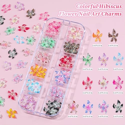 6 Boxes 3D Flower Nail Charms, Colorful Hibiscus Nails Ice Translucent Flower