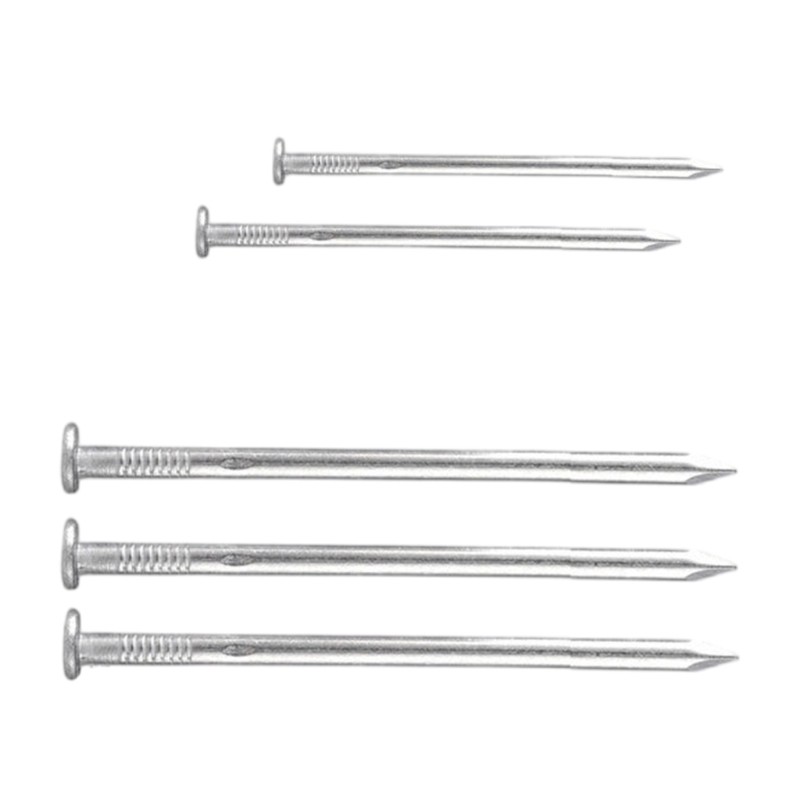 Sturdy Nails Picture Hanging Nails For Indoor And Outdoor Construction Tasks