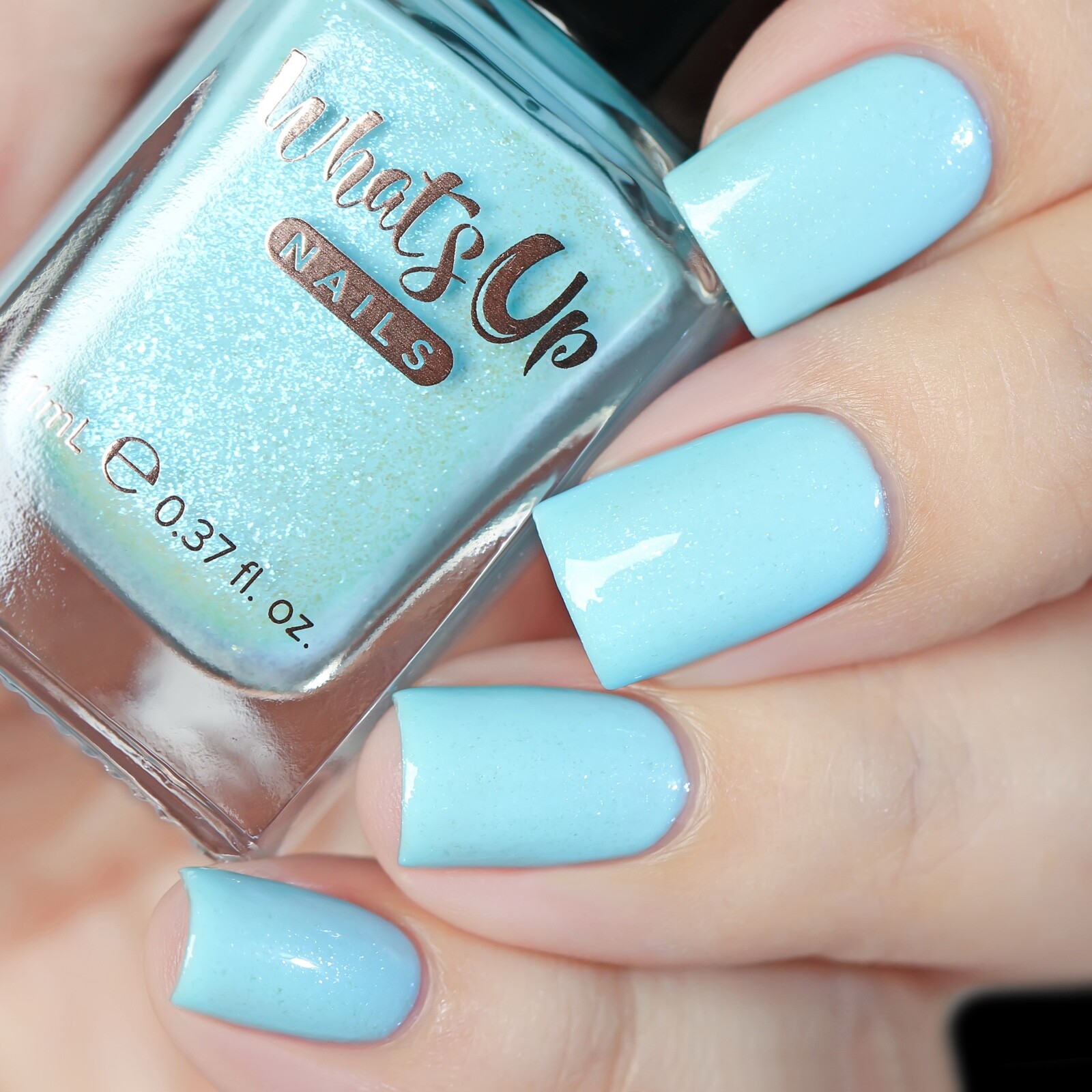 Shorter Days Collection (6 Regular Polishes + Magnet), Nail Polish for Nail Art