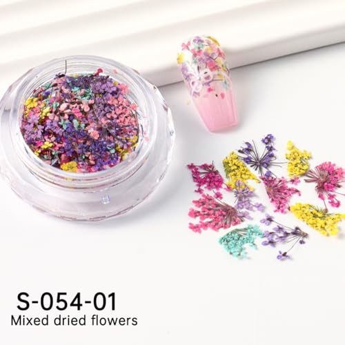 Spring Dried Flowers Nail Art Stickers Decals, Colorful 3D Dry Flower Style-4