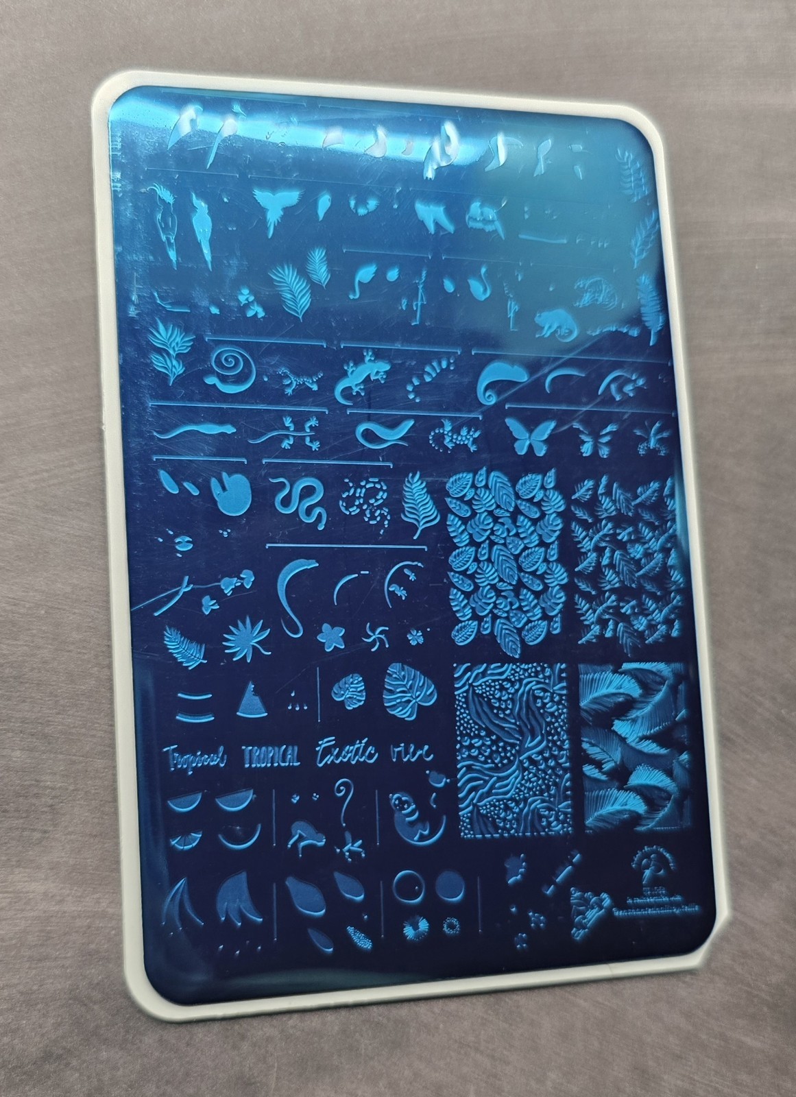 CJS Cjs LC-58 Clear Jelly Stamper Nail Stamp Plate Enchanted Tropics Rainforest