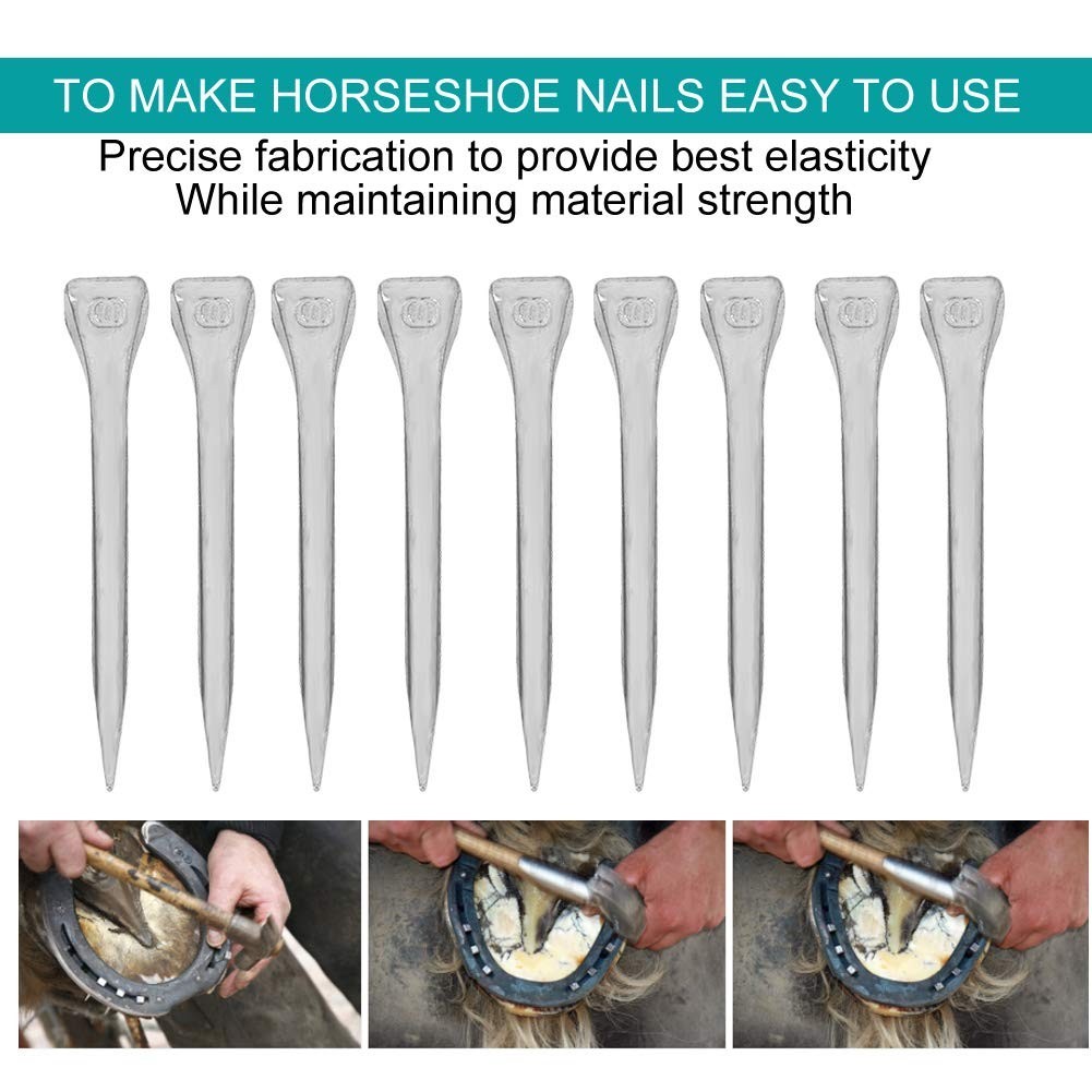 250PCS Horseshoe Nails Kit, 2.13in Steel Hoof Pegs for Equestrian Training & Too