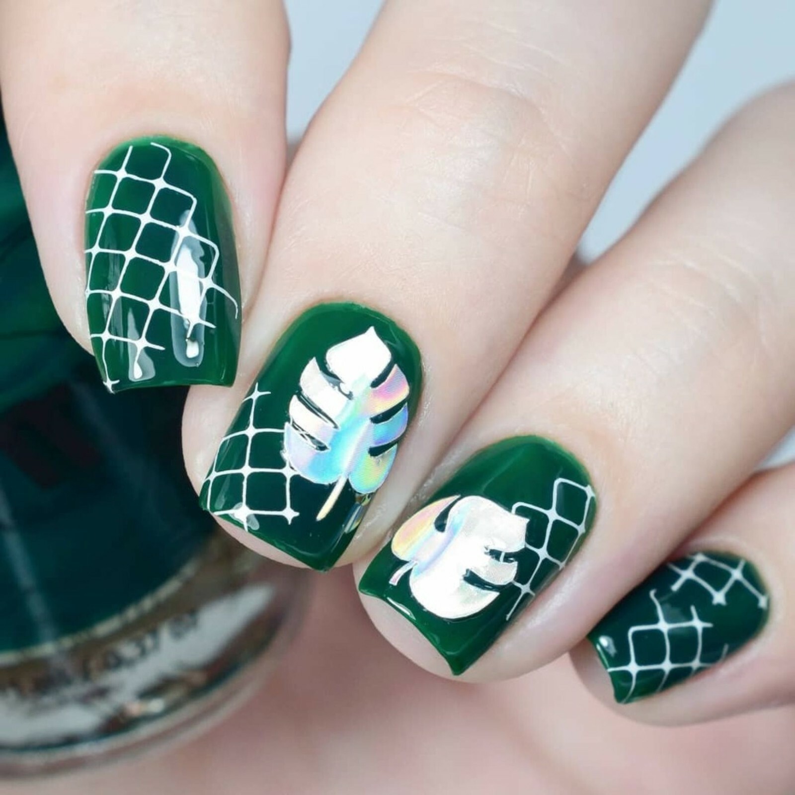 Botanical Garden Stickers (Holo) – Daily Charme Collaboration, Nail Stickers