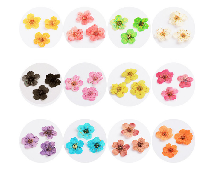 12 Lattice/Color 3D Nail Art Sticker Wheel Dried Flower DIY Tips Manicure Decors
