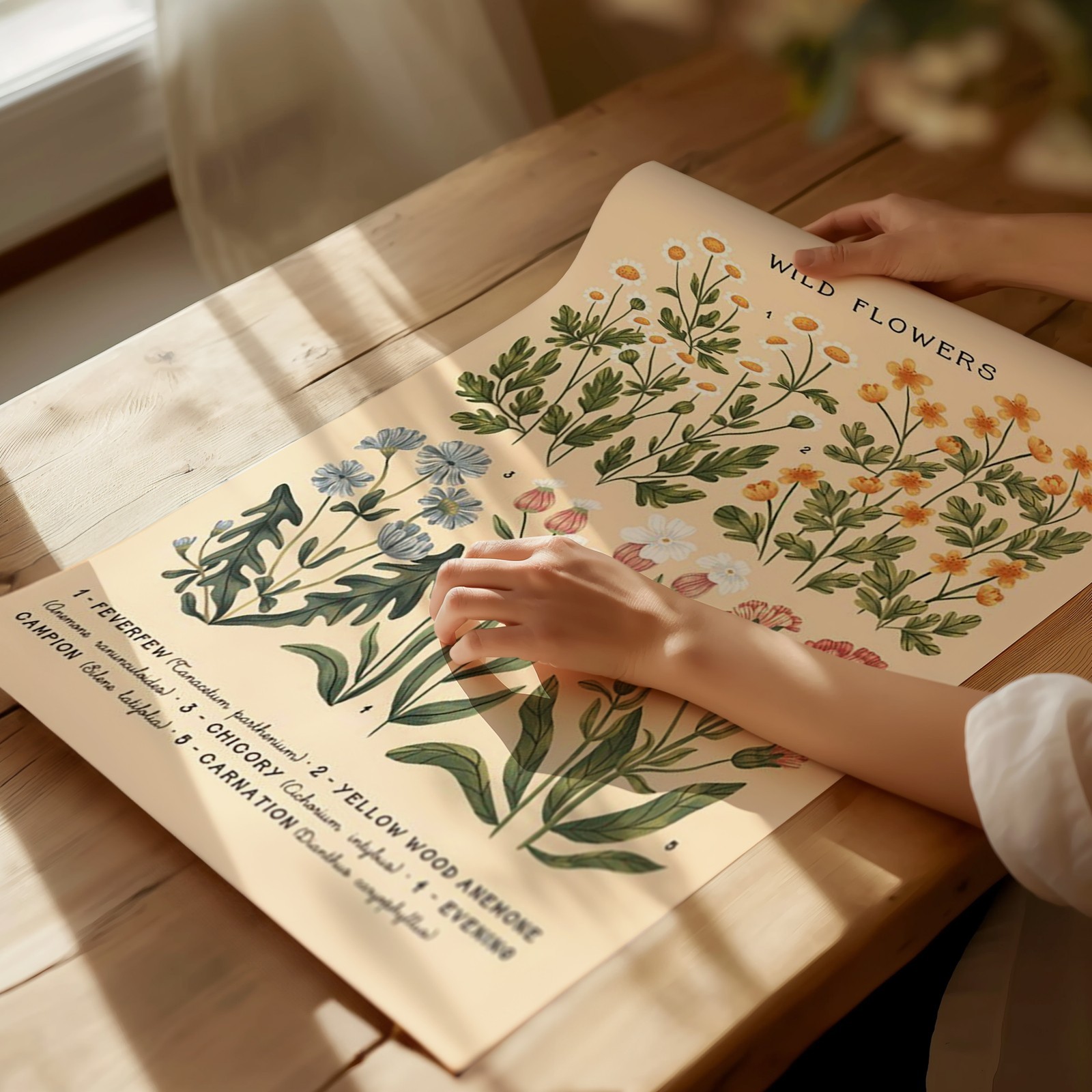 Wild Flowers Botanical Poster Wall Art – Nature Print Decor Home Decor