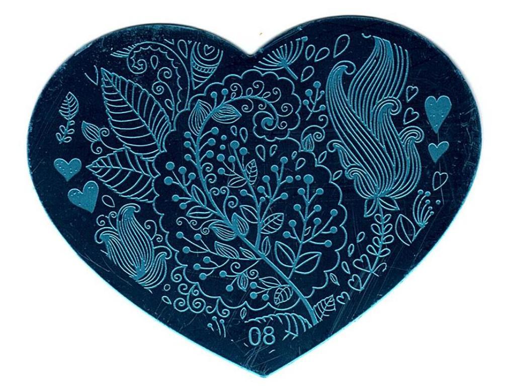 5 Pcs Love Heart Nail Art Stamping Manicure Image Plates Stamper Scraper Set NEW