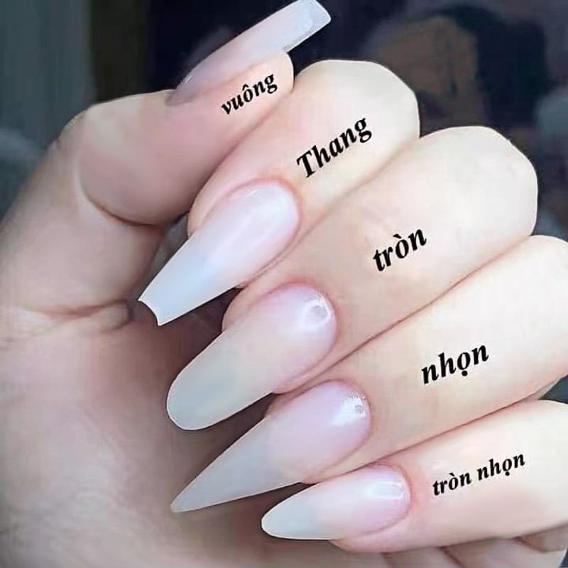 500Pcs False Nail Tips Acrylic Nails Almond Ballerina For DIY Nail Art Salon
