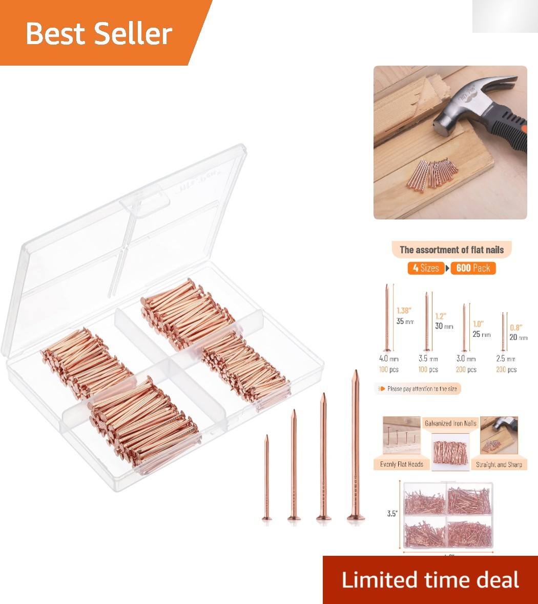 Stylish 600-Pc Nail Assortment – Rose Gold Finish & 4 Sizes for DIY Projects