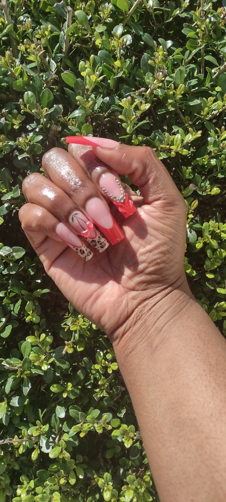 Red Cherry & Animal Print Press On Nail Set With Glue Included