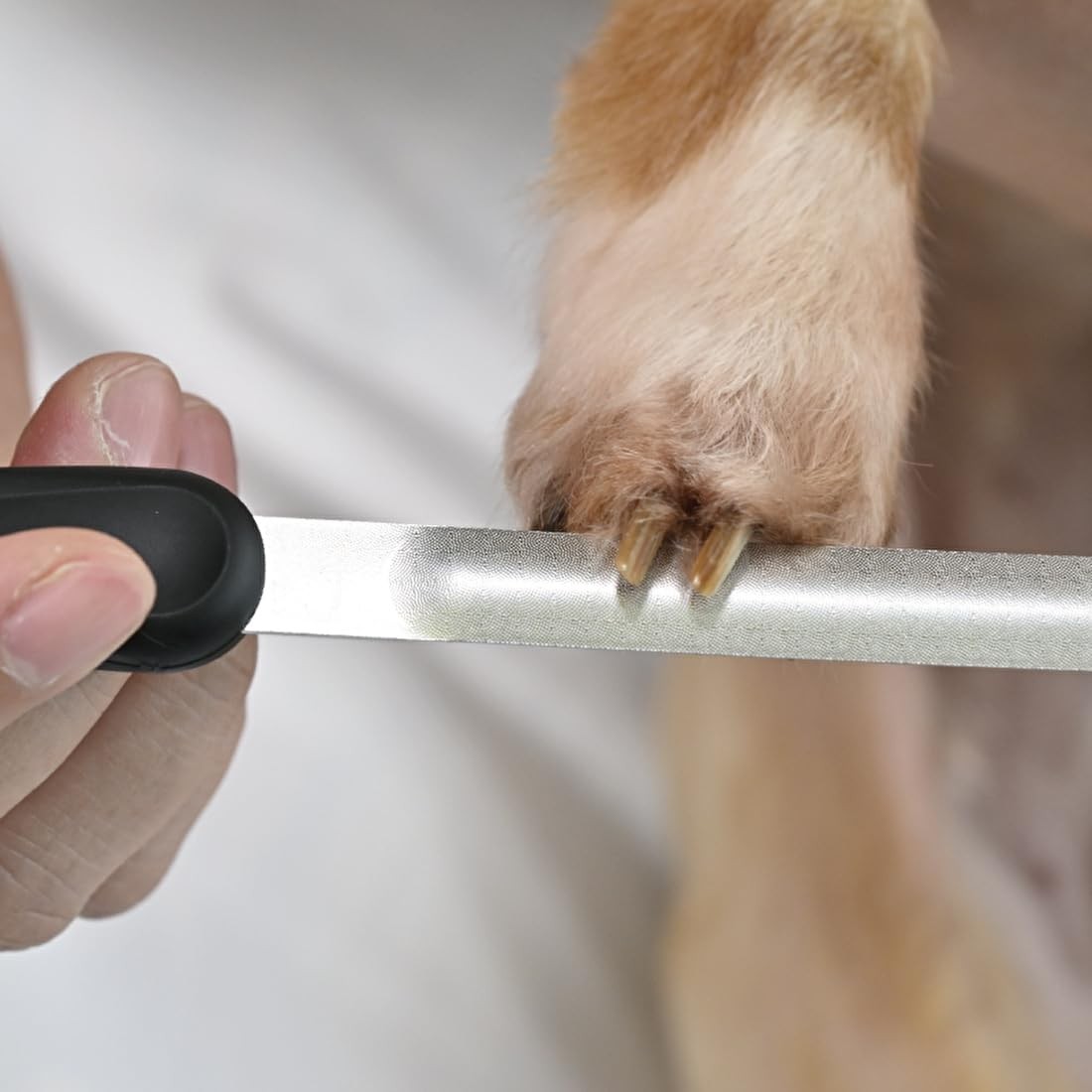 Green Bell Pet Curve Claw File PE-003