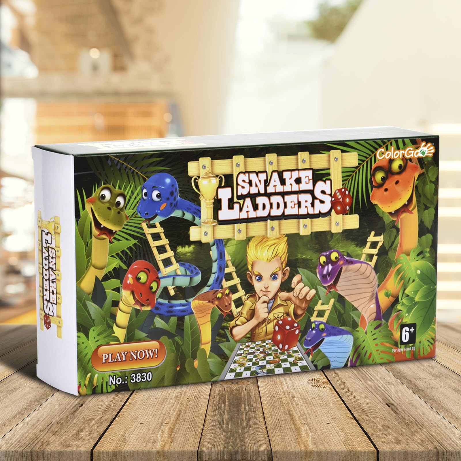 ColorGo Magnetic Snakes and Ladders Board Games with Small, Multi-color