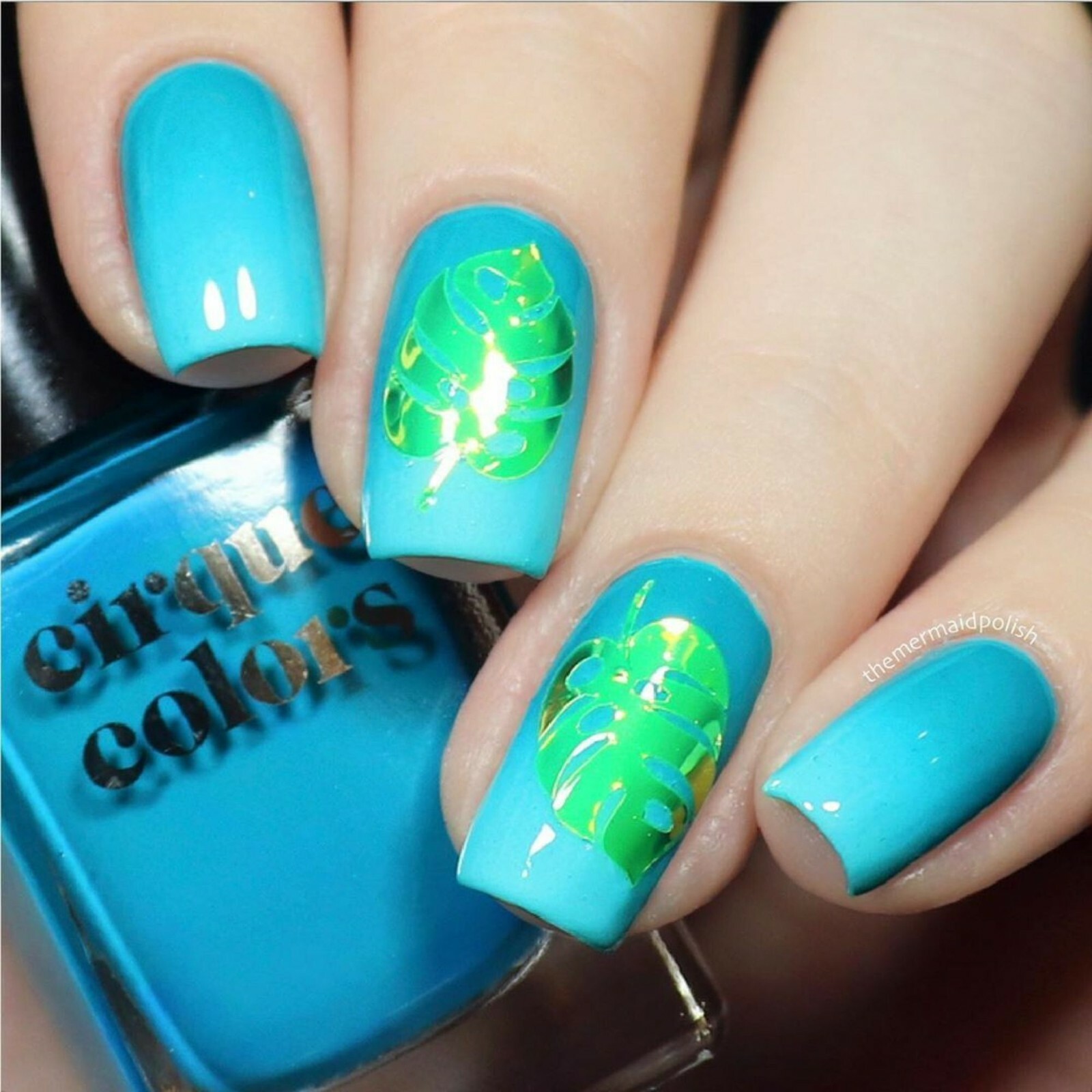 Botanical Garden Stickers (Lime) – Daily Charme Collaboration, Nail Stickers