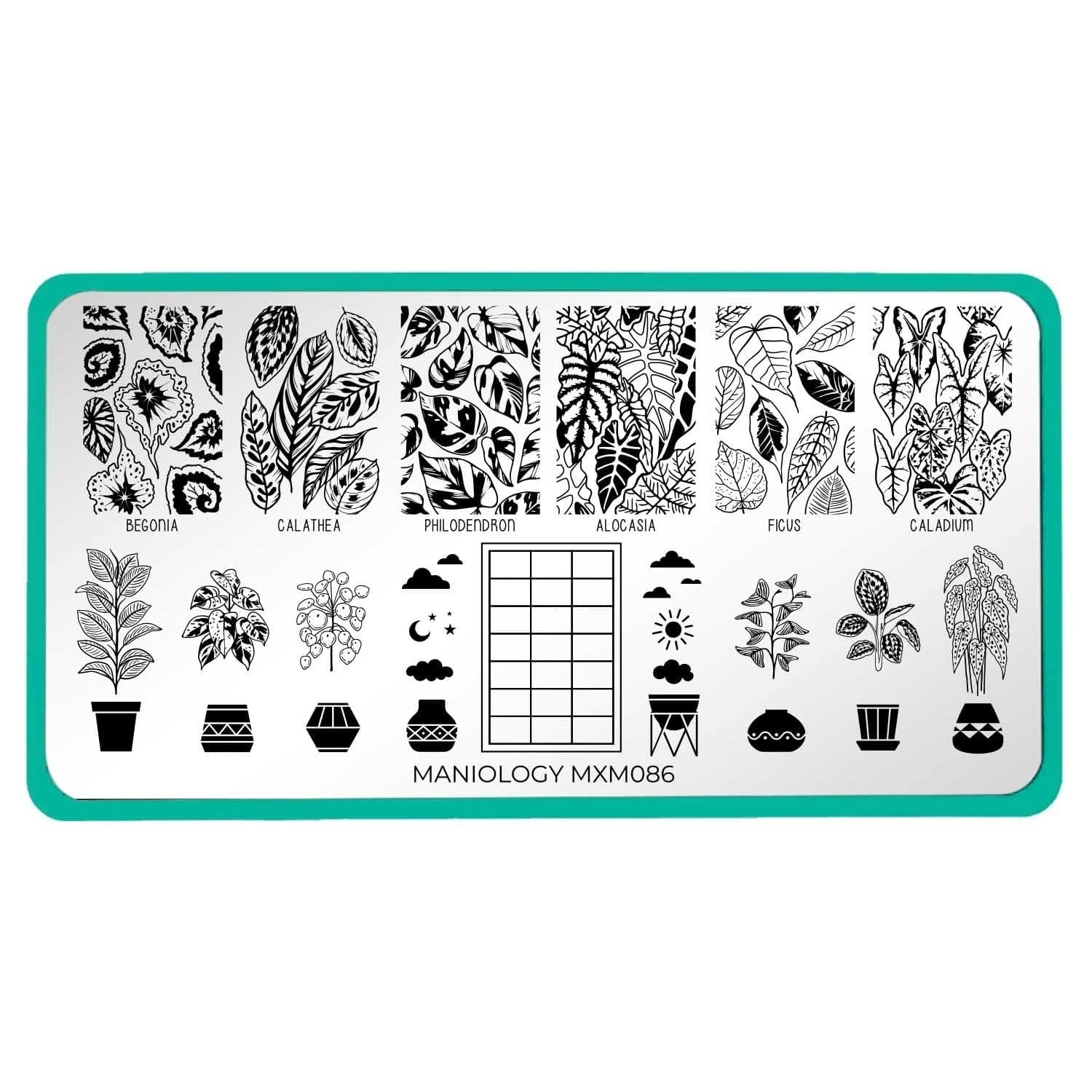 Plant Lover: Lush Living (MXM086) – Nail Stamping Plate