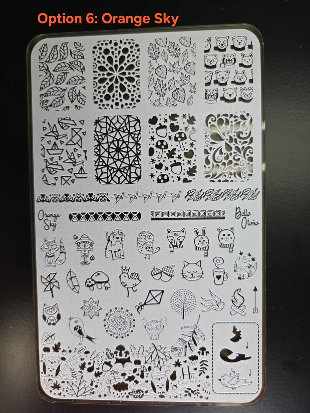 H La Cosedora Nail Stamping Plate Nail Art Design Floral, Animal, Geometric