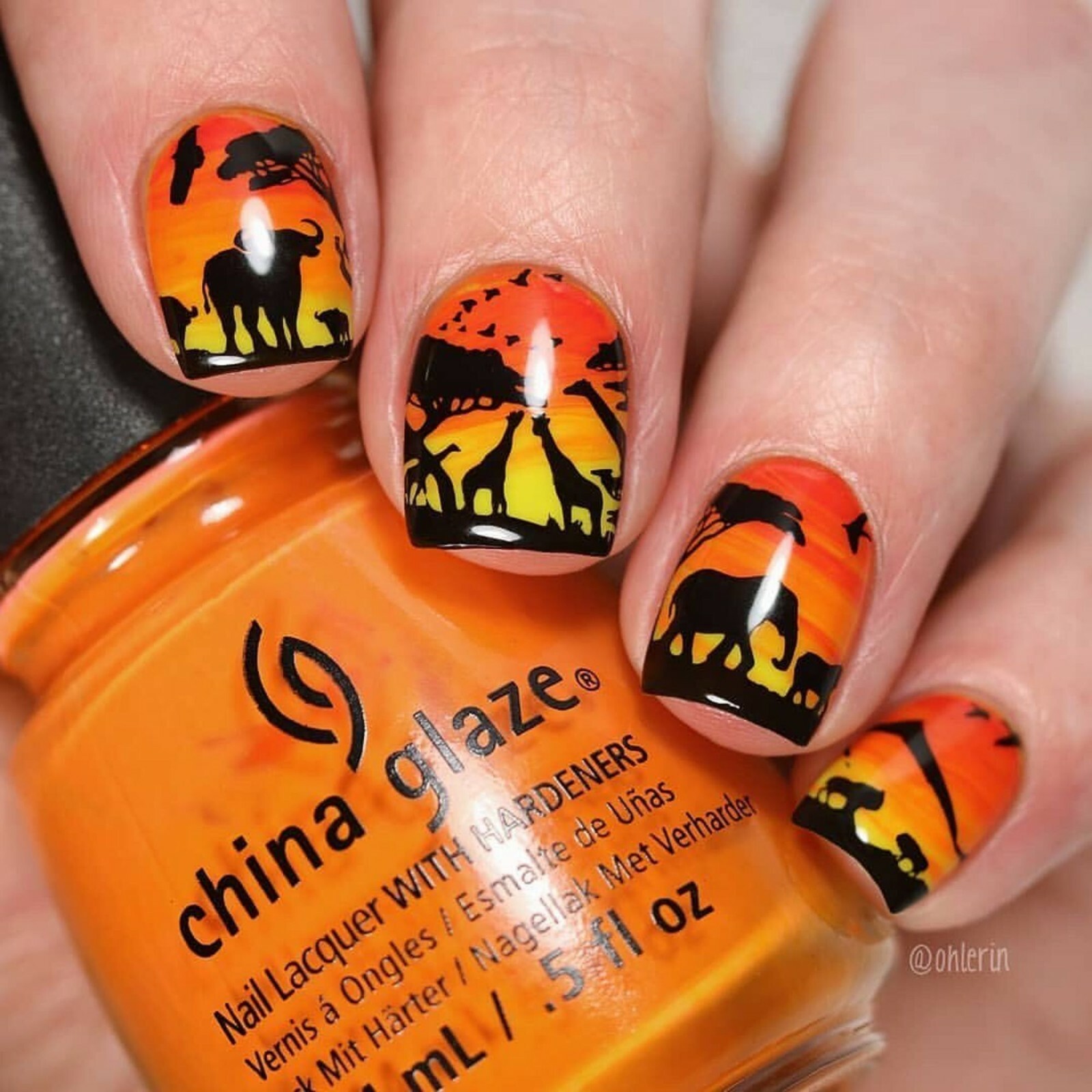 B040 Safari Ride Stamping Plate For Stamped Nail Art Design