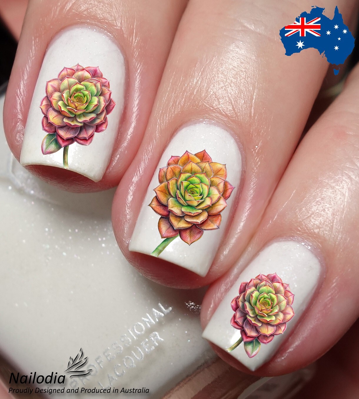 Aeonium Irish Rose Floral Flower Nail Art Decal Sticker Water Transfer Slider