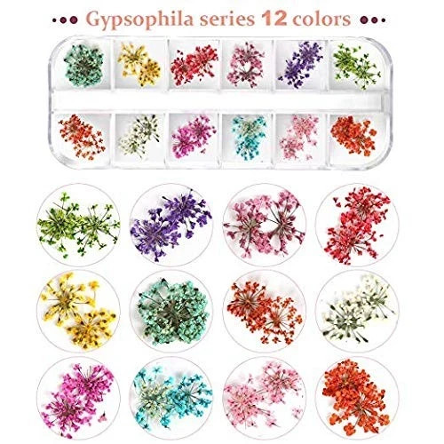 Teenior 24 Colors Nail Dried Flowers, 3D Nail Art Sticker for Tips Manicure D…