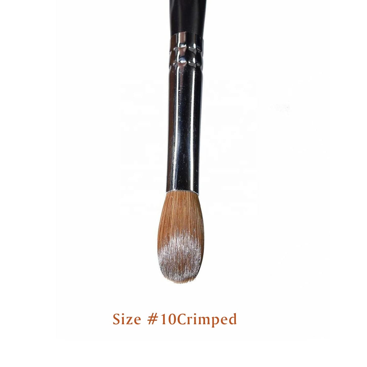 100% Kolinsky Acrylic Nail Brush Size 10 – Oval Crimped Wooden Handle for Nail A
