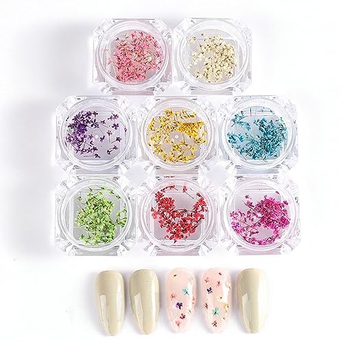8 Boxes Dried Flowers for Nails Mini Real Nail Flowers 3D Dried Flowers Nail