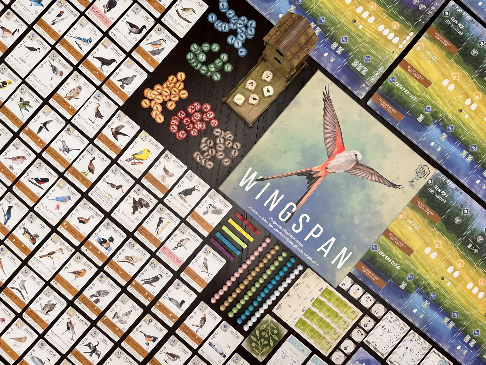 Stonemaier Games: Wingspan (Base Game) by Elizabeth Medium, Mixed Colours