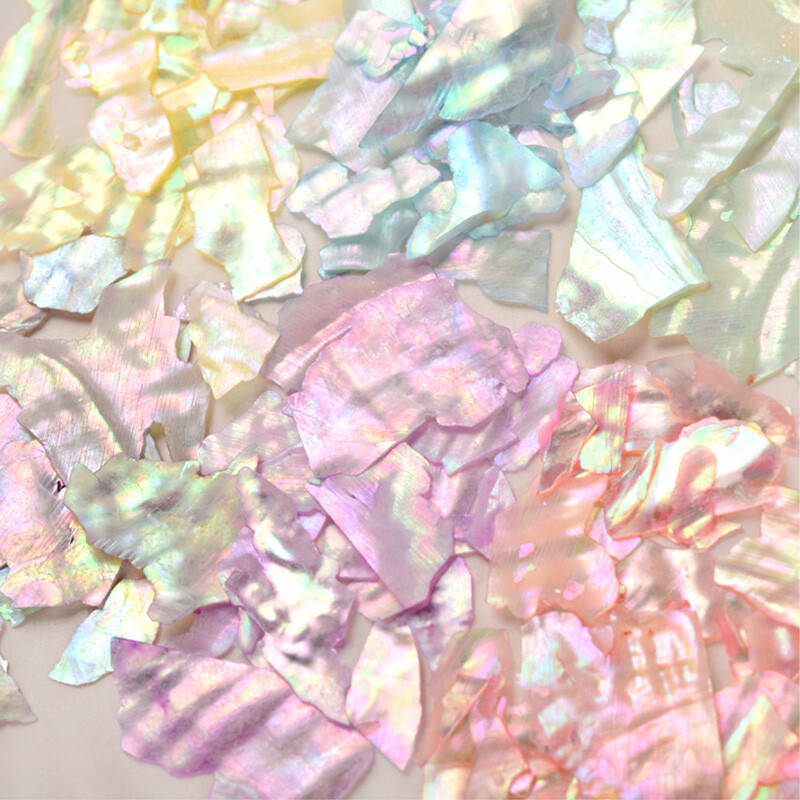 6 Grids Nail Art Abalone Shell Irregular Fragment 3D Charm Decoration Slice DIY