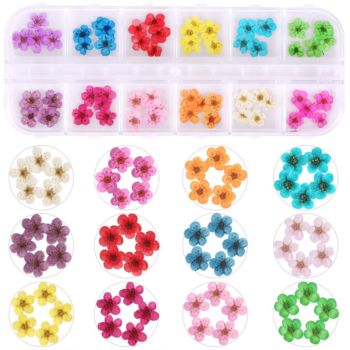 KISSBUTY 12 Colors Dried Flowers for Nail Art, 60pcs Mini 1 Count (Pack of 1)