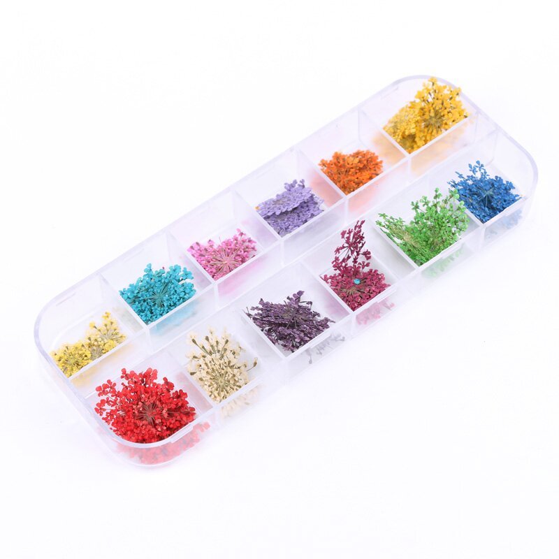 Natural Dry Flower Botanical Nail Art Decorations UV Gel Tips Manicure Accesorie