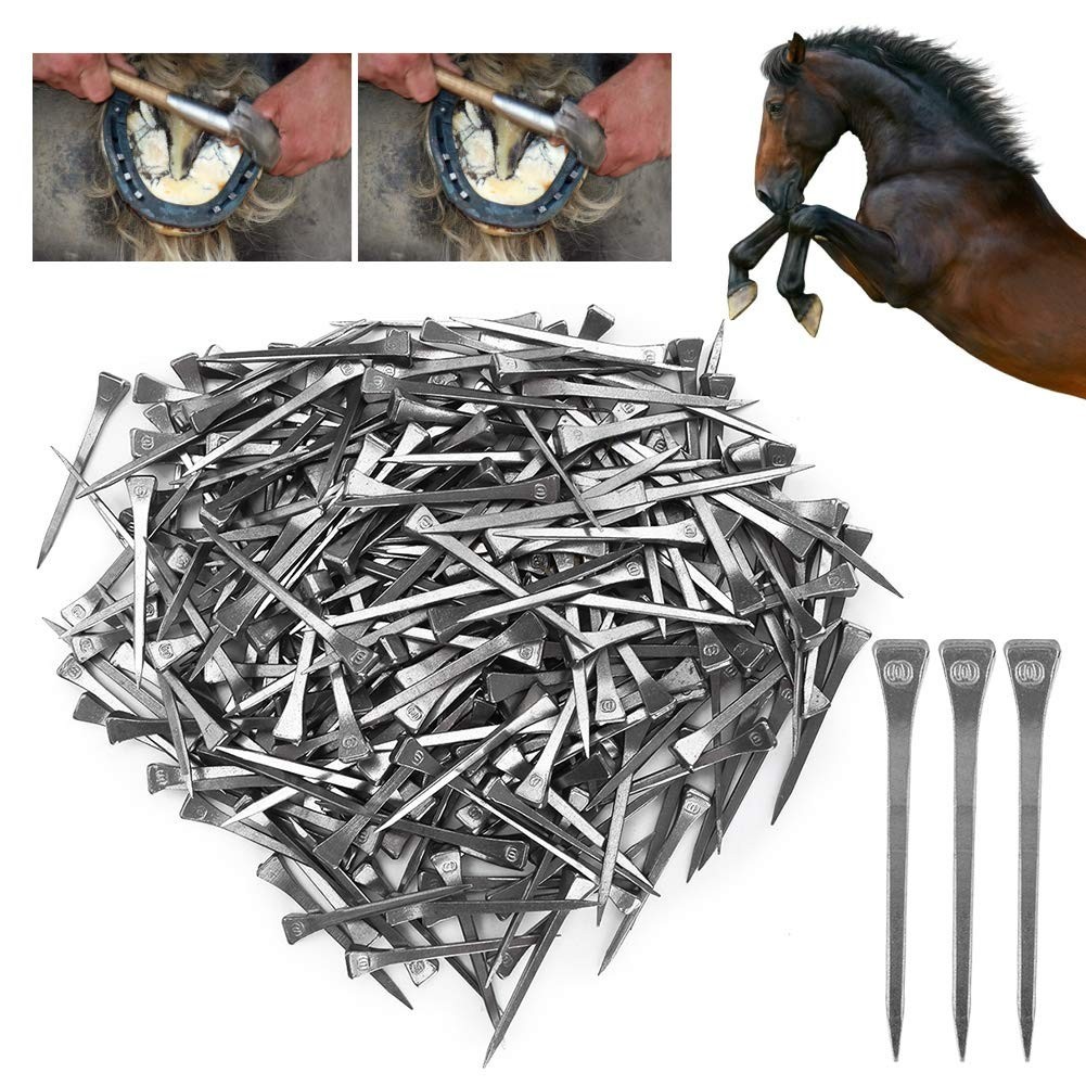 250PCS Horseshoe Nails Kit, 2.13in Steel Hoof Pegs for Equestrian Training & Too