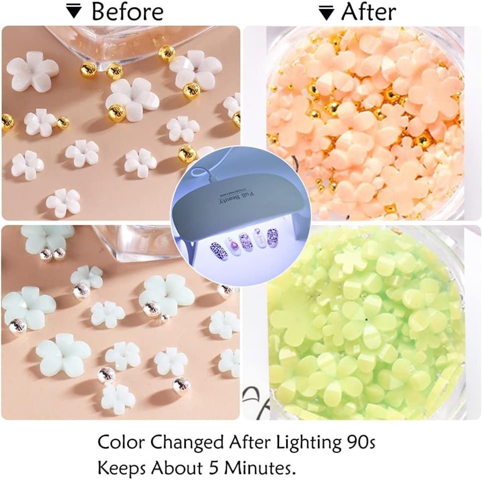 Chic 3D Flower Nail Art Decorations – 2 Boxes of Acrylic Gems for DIY Creations