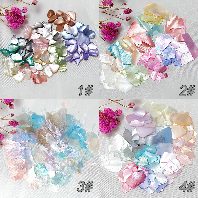 12 Grid Box – Irregular Iridescent Shell Slices Nail Art Shell Piece Painting