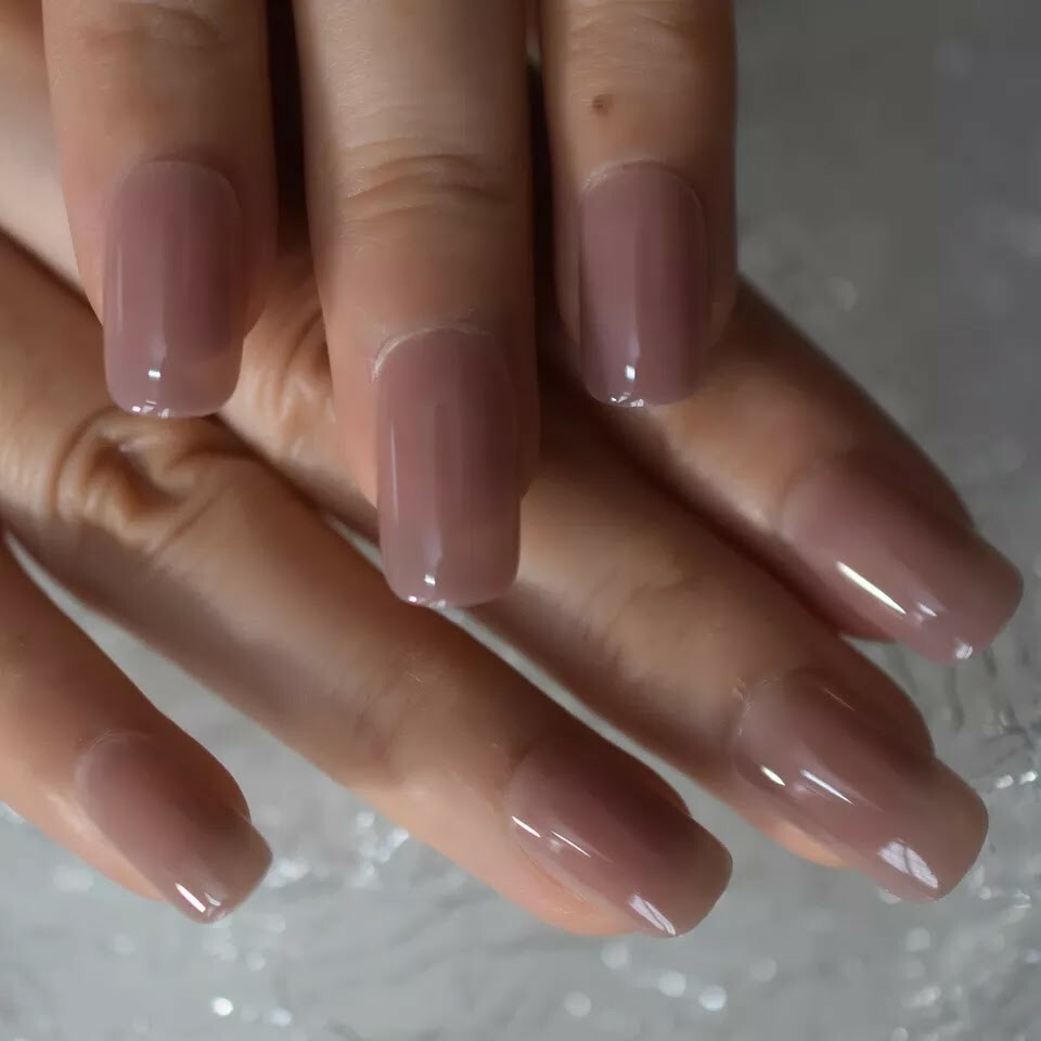 24 Square Nude Glaze Press on nails kit Glue on jelly tan clear taupe
