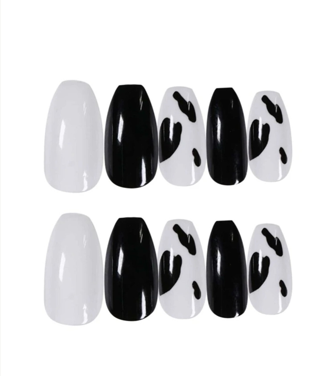 New 24 Press On Nails Kit w glue medium Cow print black white coffin