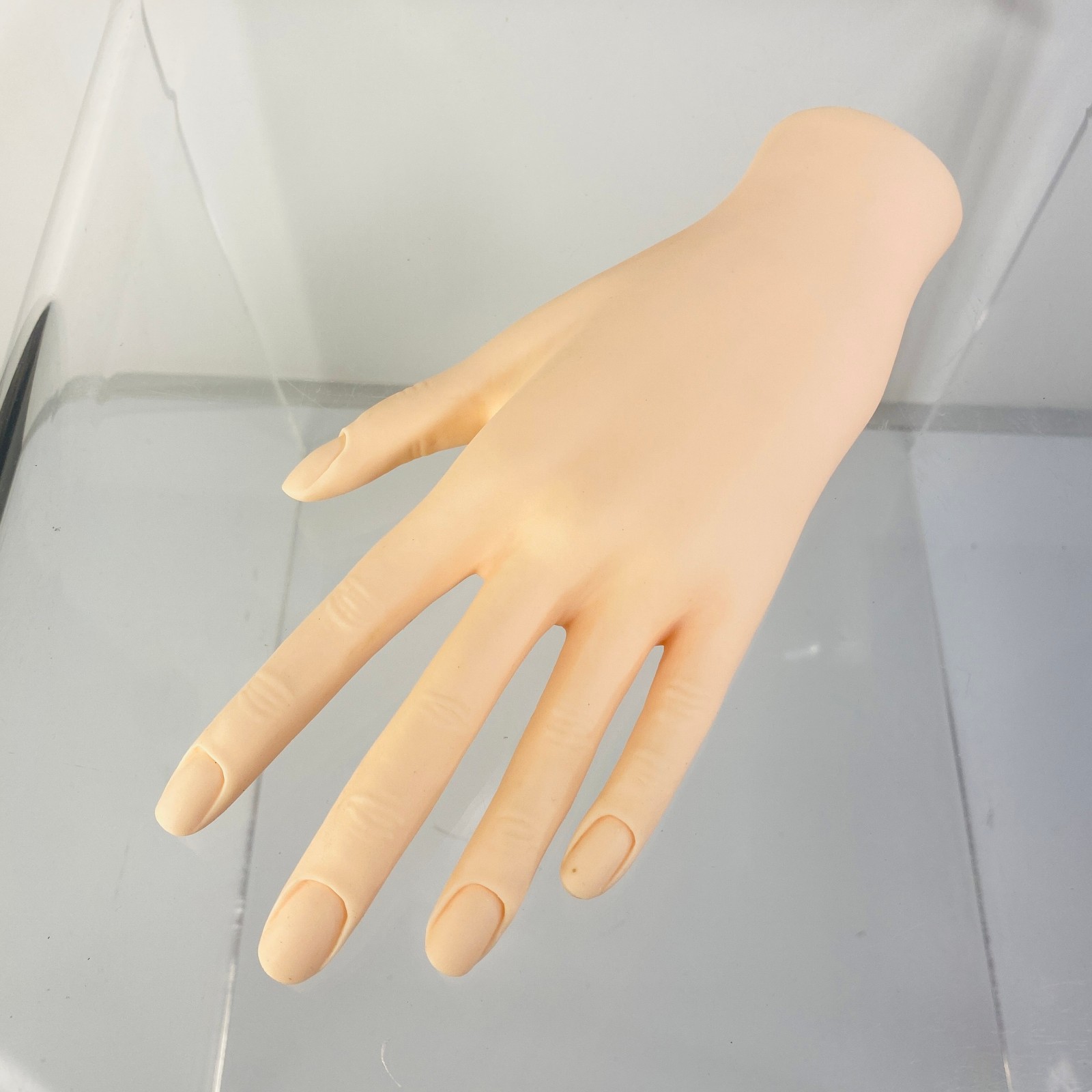 Manicure Practice Hands & Fingers Nail Hand Model left