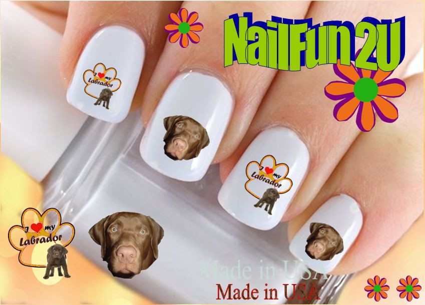 Nail Art 160A DOG BREED Chocolate Lab Retriever WaterSlide Nail Decals Transfers