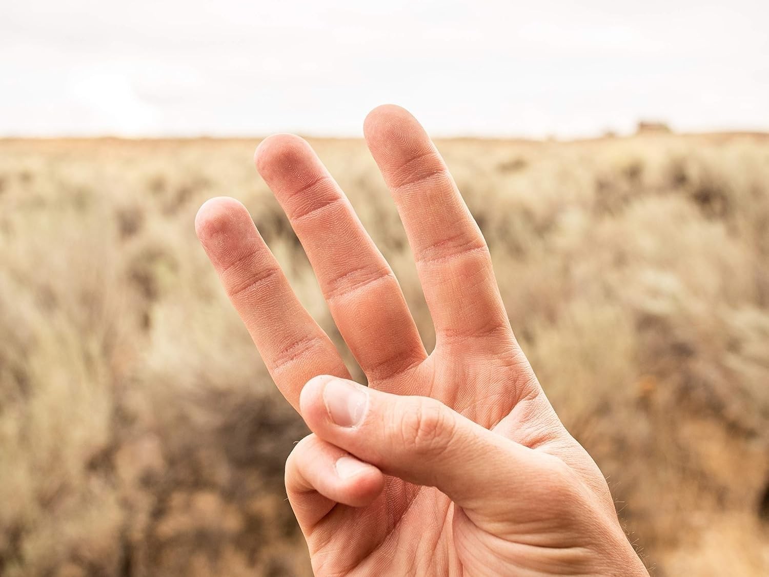 Finger Guns at High Noon by Indie Boards & 7.87 x 5.91 x 1.77 inches, Tan