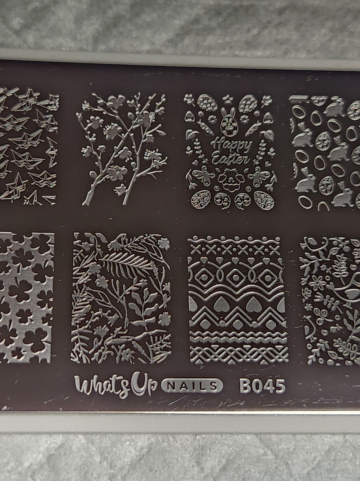 What’s Up Nail Stamping Plate B045 – Sprung on Spring