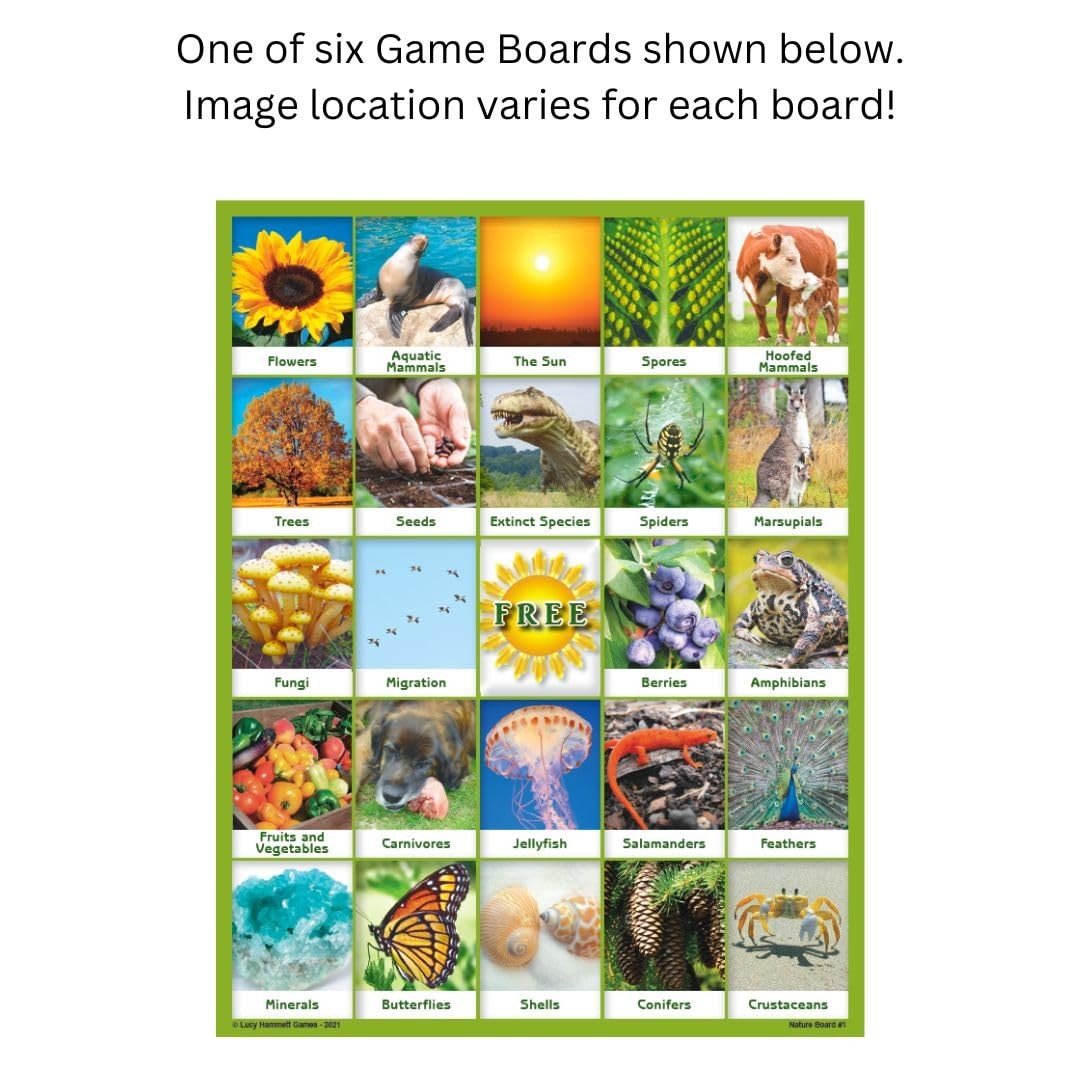 Nature Bingo Educational Game – Fun Learning for Kids & Families with White