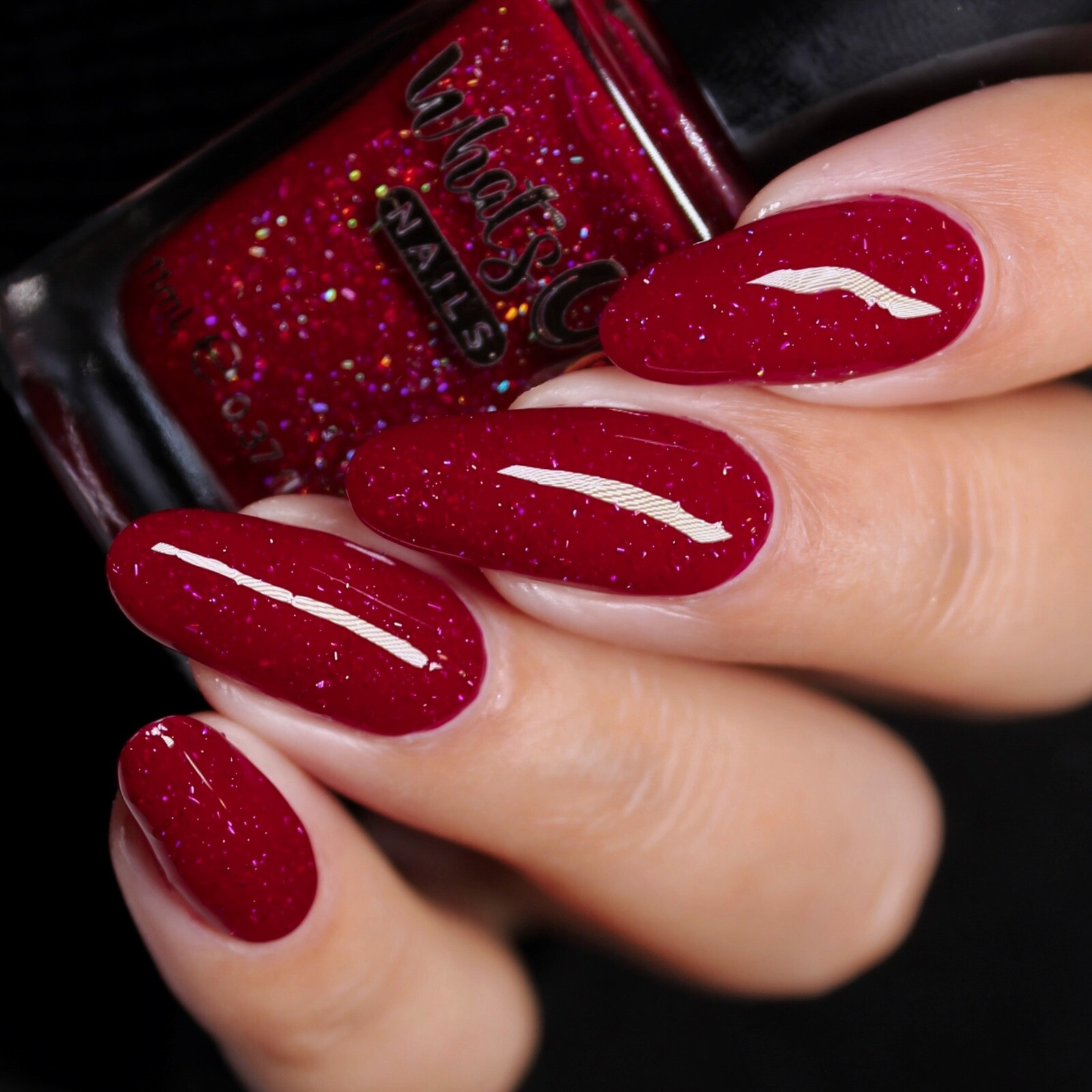 Passion is My Profession Regular Polish (Burgundy Jelly), Nail Polish, Nail Art