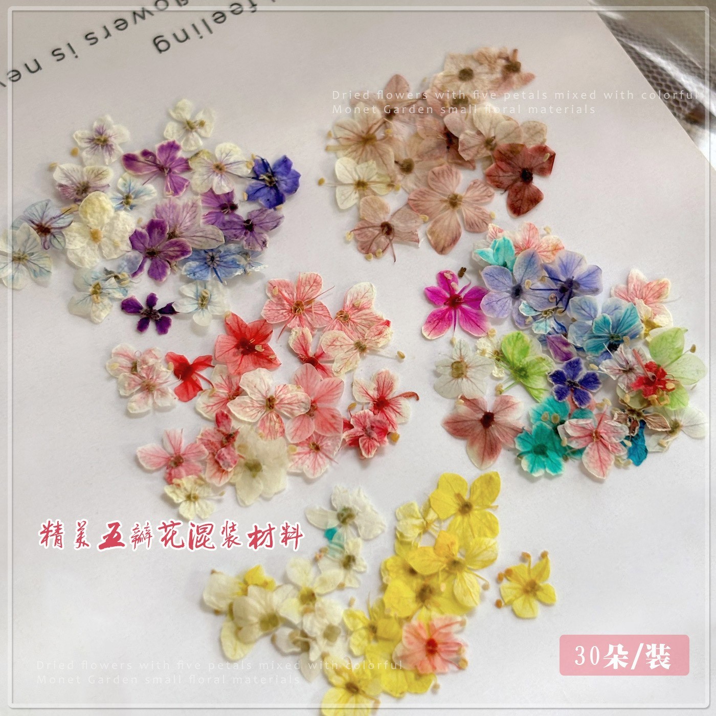 5 pots Dried Flower Acrylic UV Gel Nail Art Mixed Small Flowers Jewelry Decors