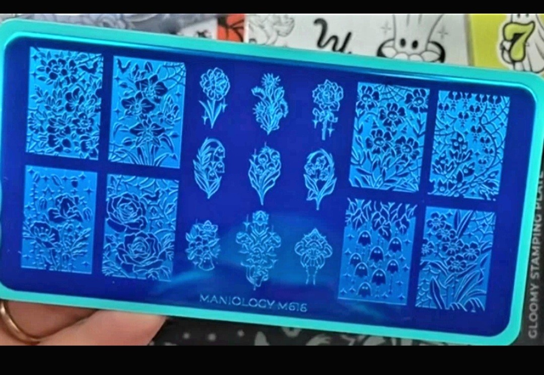 Htf! Maniology Box of Gloom ’25 Limited Edition Nail Stamping