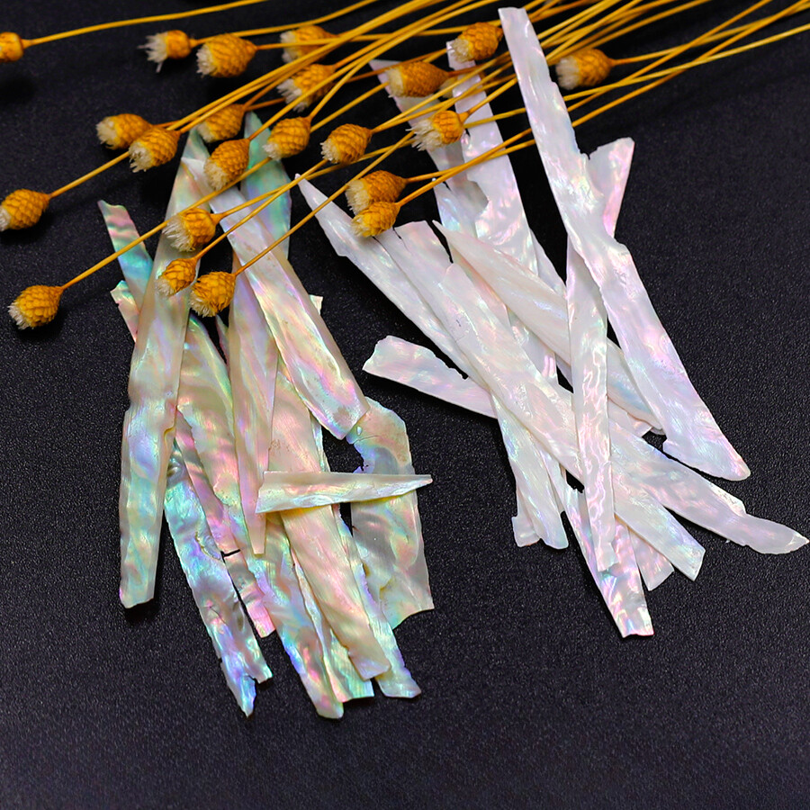 3g DIY Abalone Shell Slices Long Strips Shell Flakes Thin Iridescent Nail Decors