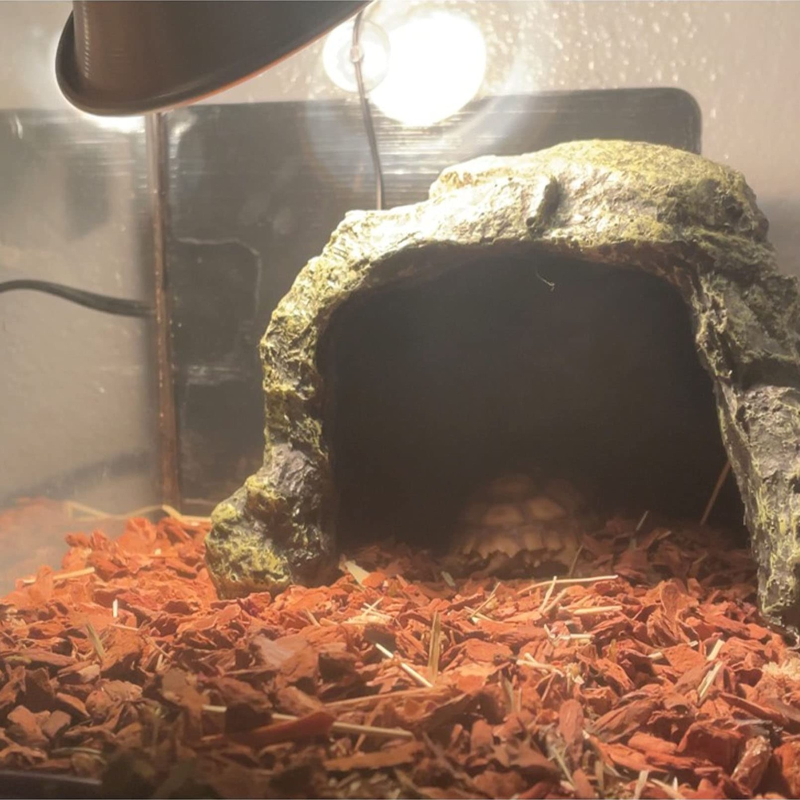 kathson Reptile Rock Hideout Cave,Tortoise Hide Caves,Resin Hides Shelter,Rep…
