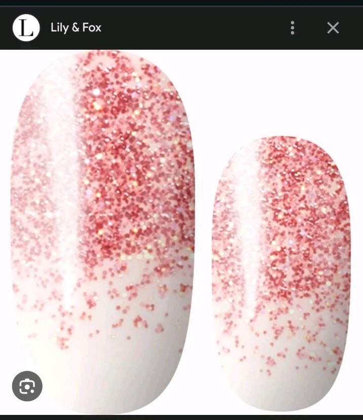 Lily And Fox Fox Lily Nail Wraps Strips 16ct Twinkle Toes