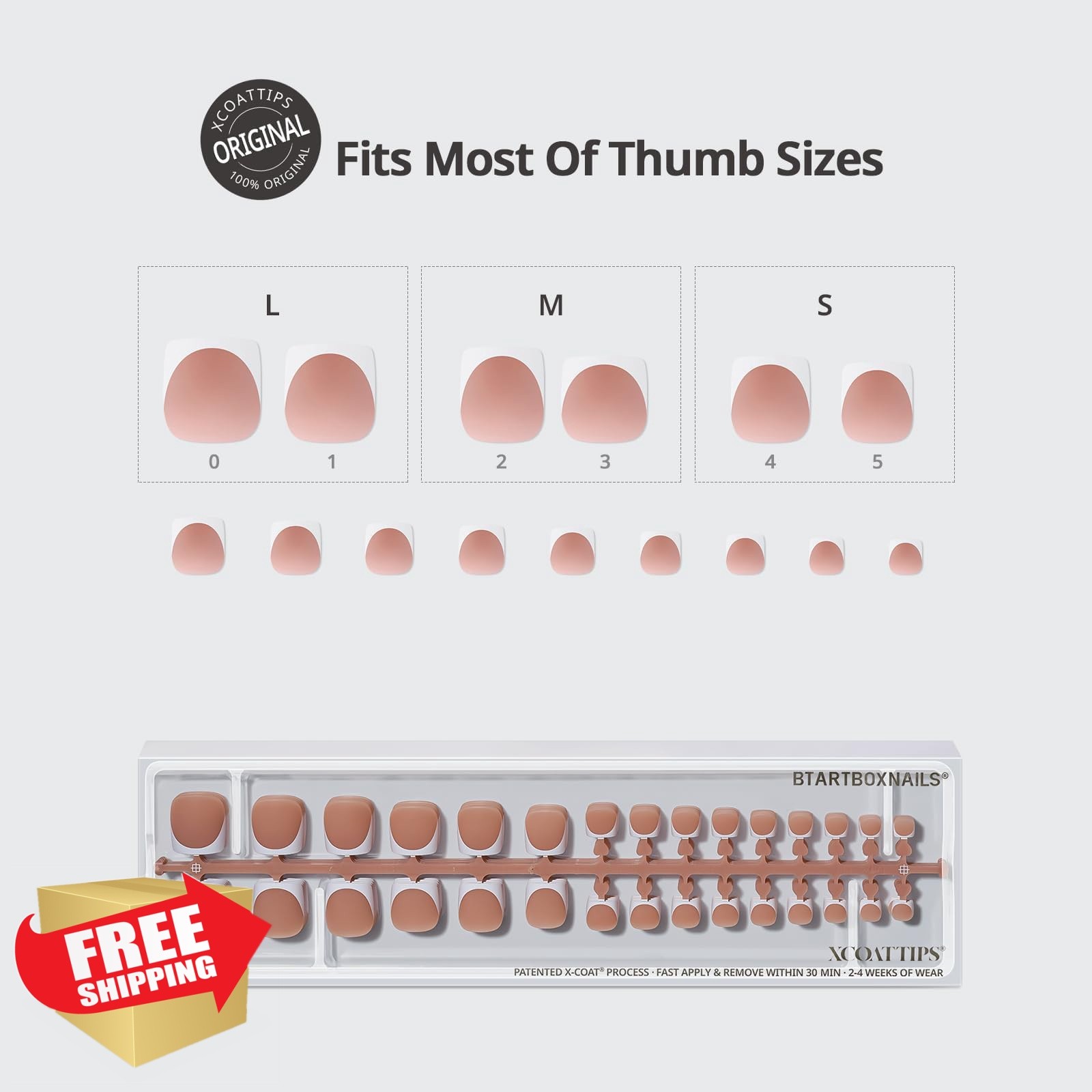 BTARTBOXNAILS Toe Nails Brown Base S-L Square