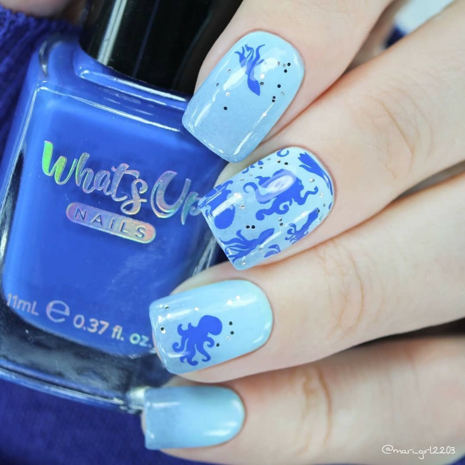 B056 Coasting to the Sea Stamping Plate For Stamped Nail Art Design